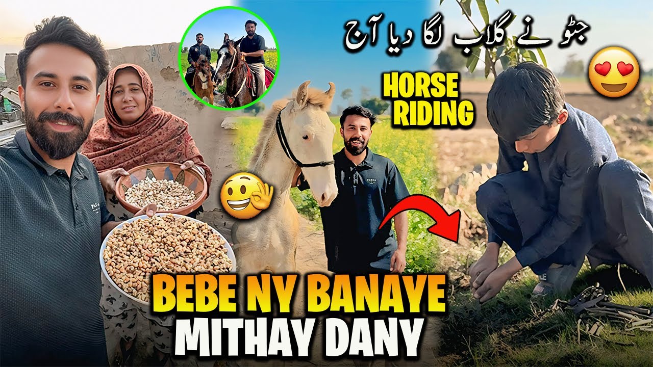 Bebe ne Bnaye Mithy Daany😍 Horse Riding Keti Aj🏇جٹو نے گلاب لگا دیا آج 😍