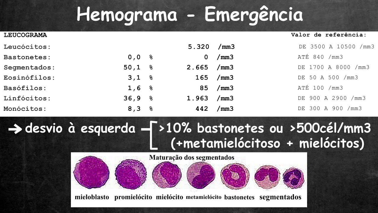 Avaliação rápida do hemograma