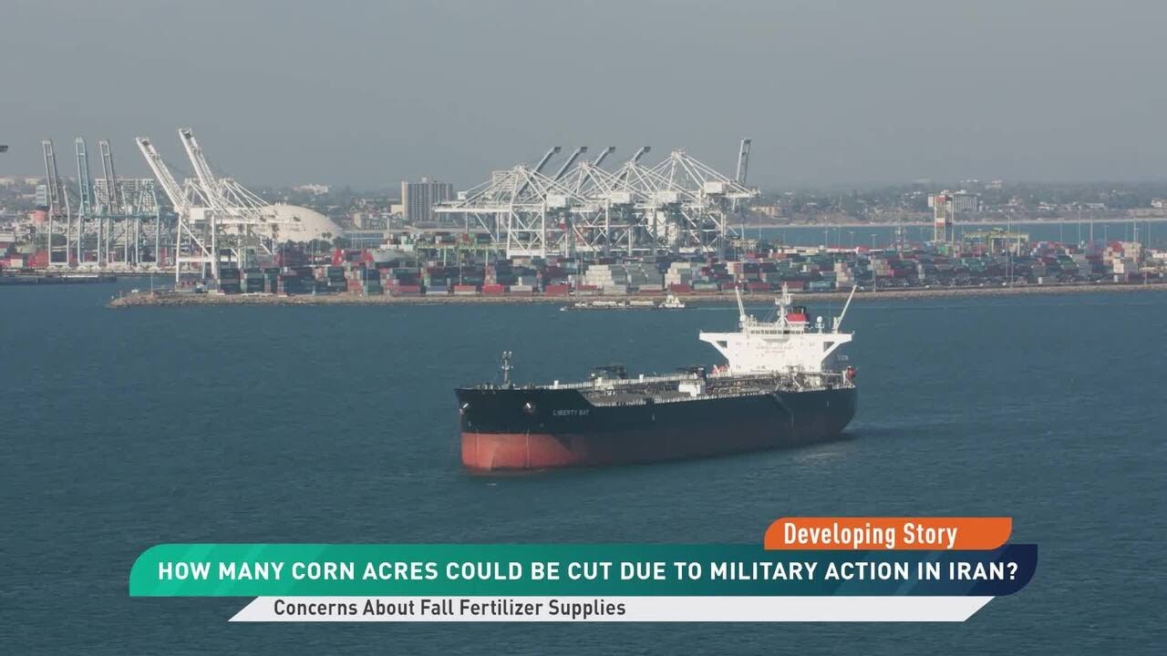 Could Corn Acres Be Cut Due to the Iran War and Soaring Fertilizer Prices?