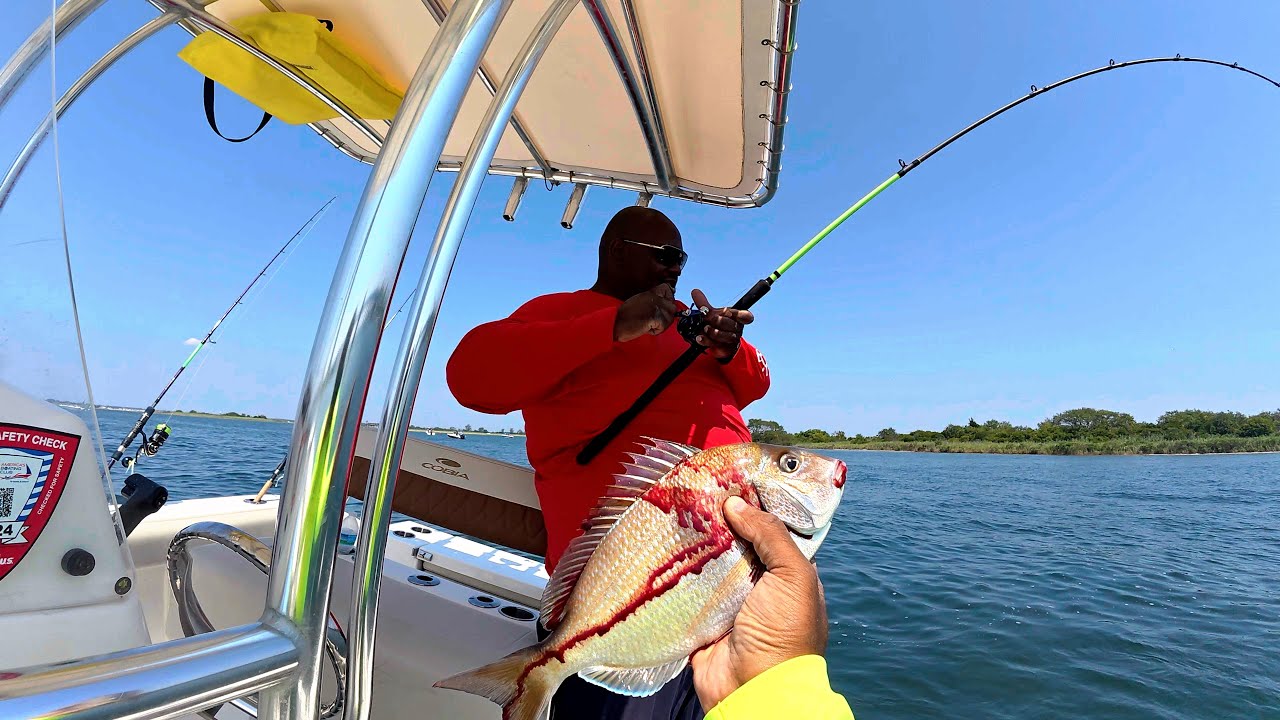 Two-a-day porgies, fluke, and more! Freeport then Sheepshead Bay on the Marilyn Jean