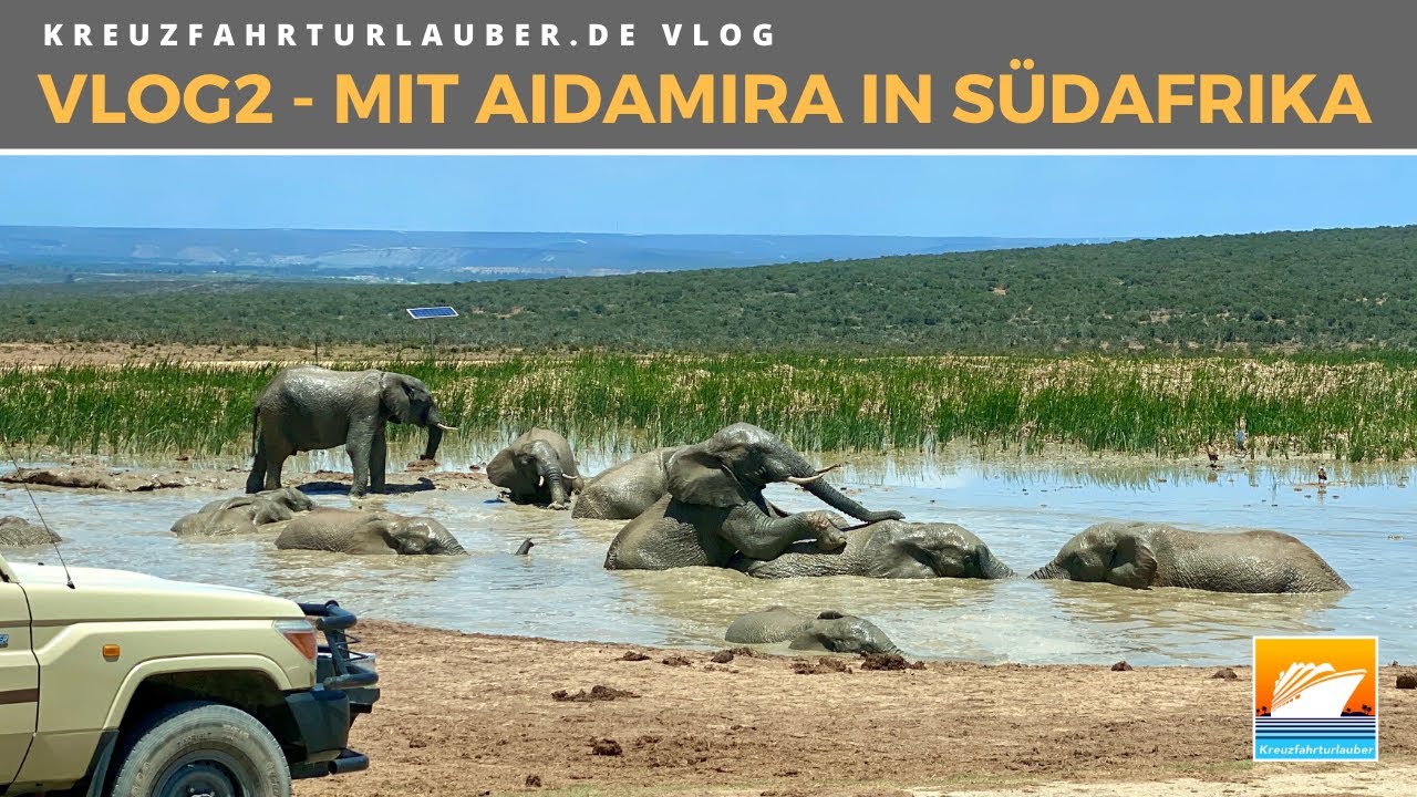 #VLOG2: Mit AIDAmira in Südafrika: Elefanten hautnah im Addo Elephant Park - AIDA Cruises