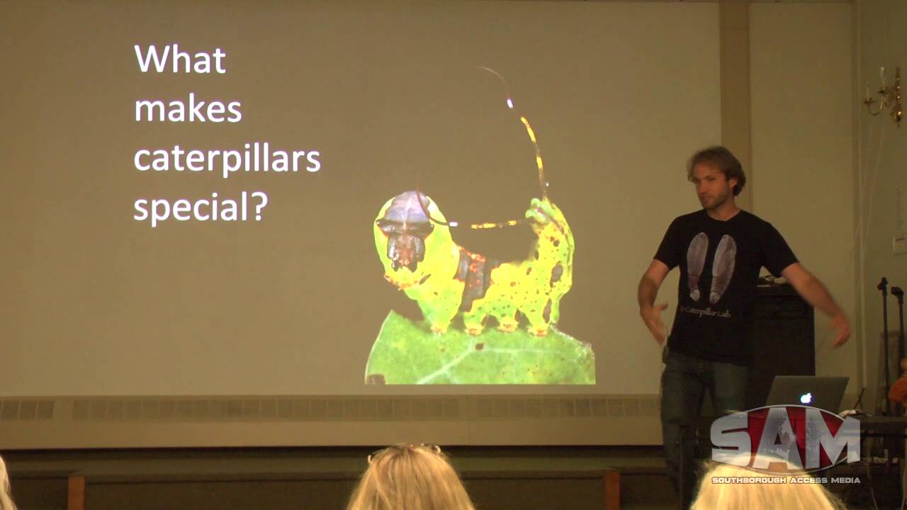 The Caterpillar Lab at Cordaville Hall June 7, 2016