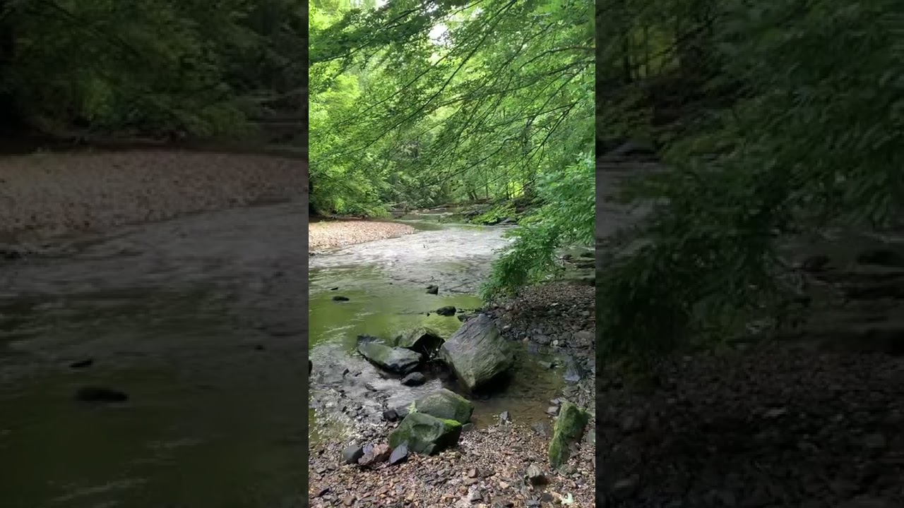 Listen with your headphones and close your eyes. #Waters #streams #mountains #camping #hiking
