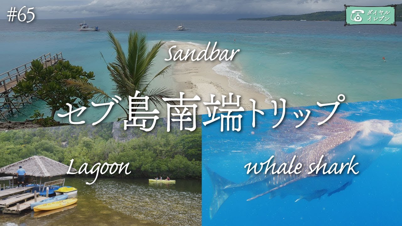 【フィリピン旅行】ジンベイザメと泳いでサンドバーの上を歩くセブ島南端トリップ