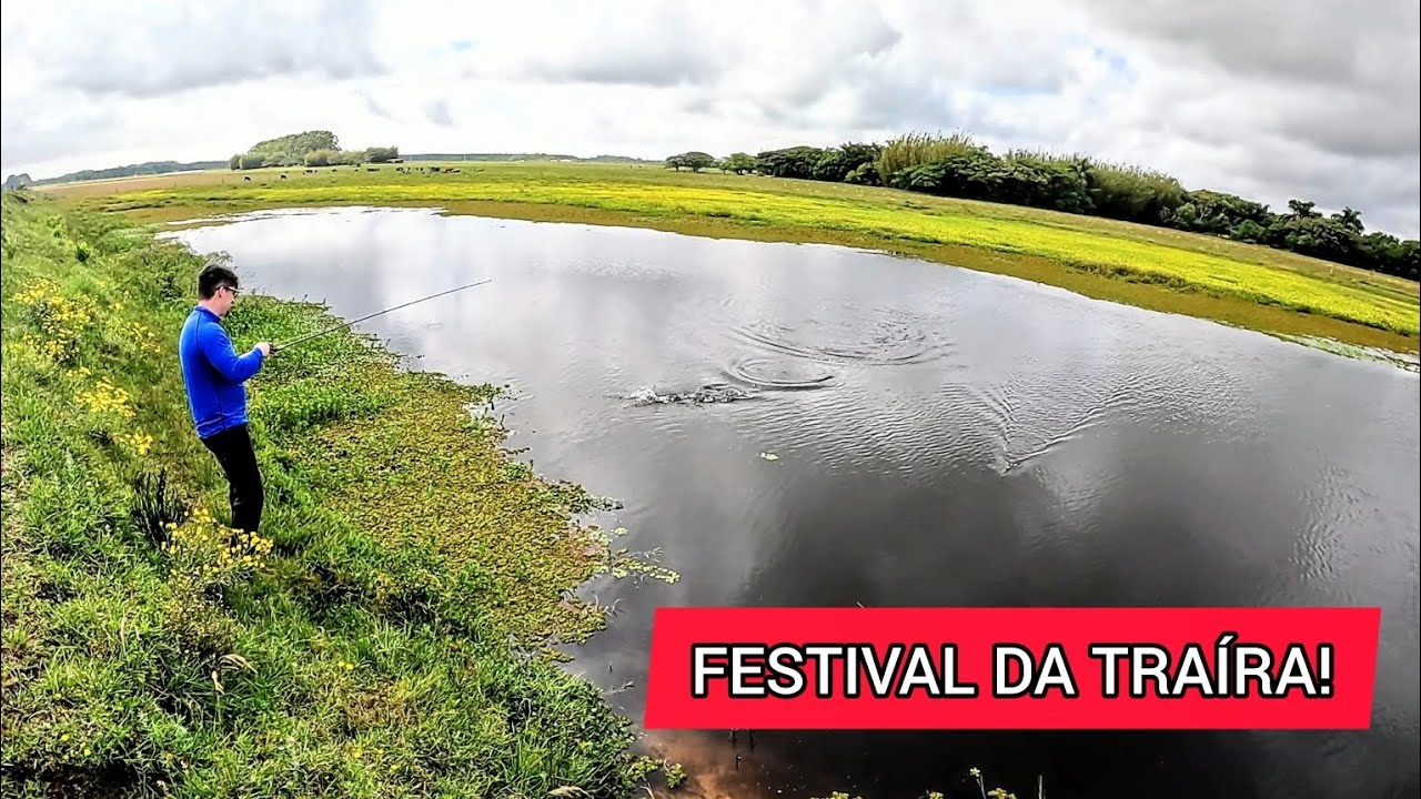 FESTIVAL DA TRAÍRA NO BANHADO DE BEIRA DE ESTRADA!