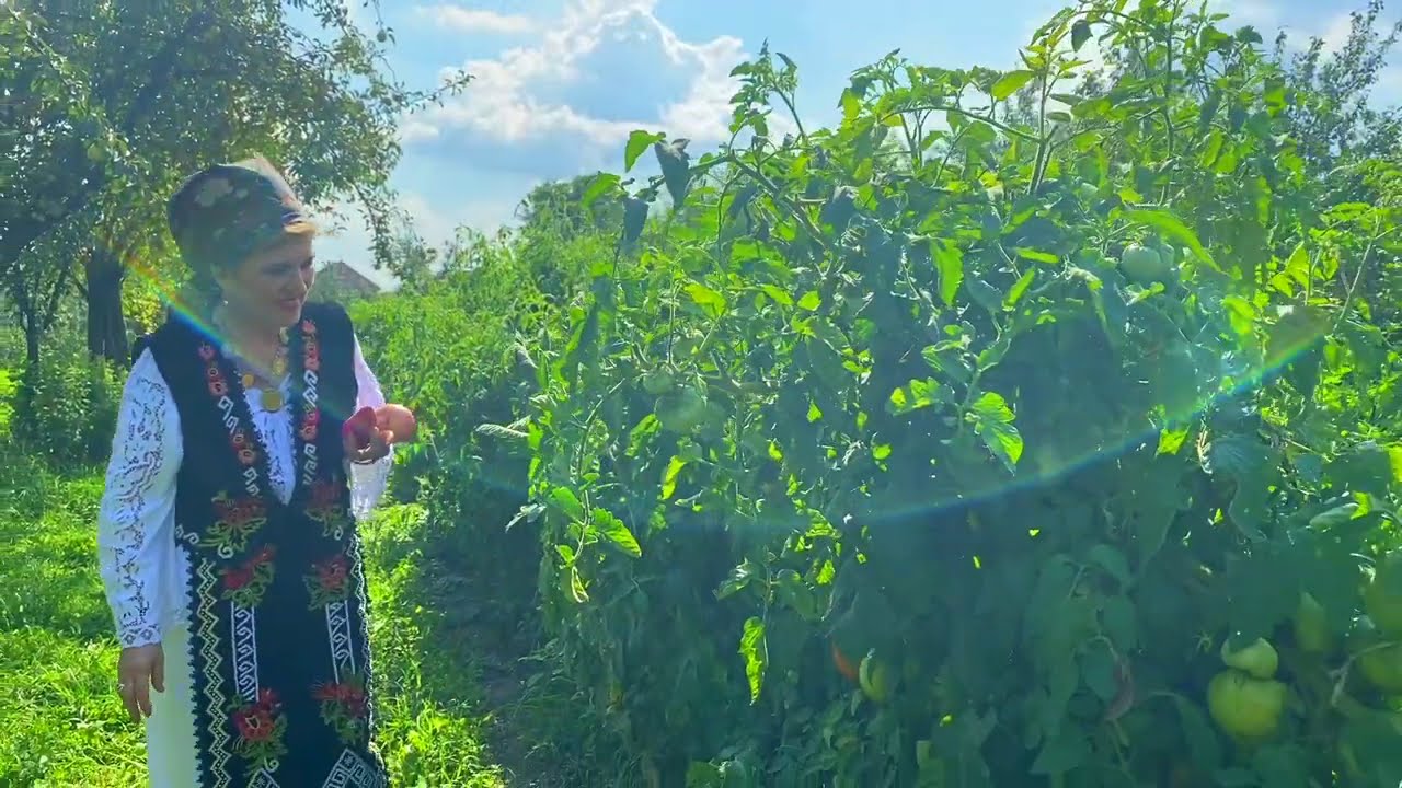 Te-am pus bage ș-ai jurat - Nicoleta Voica (Videoclip 2021)