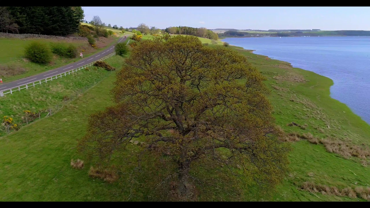 Derwent reservoir by drone. Co Durham UK.