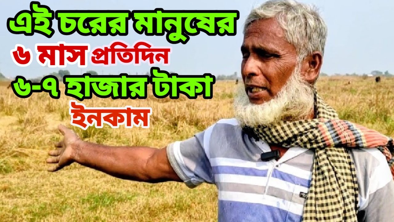 এই চরের মানুষের প্রতিদিন ইনকাম ৬-৭ হাজার টাকা  || Rural life