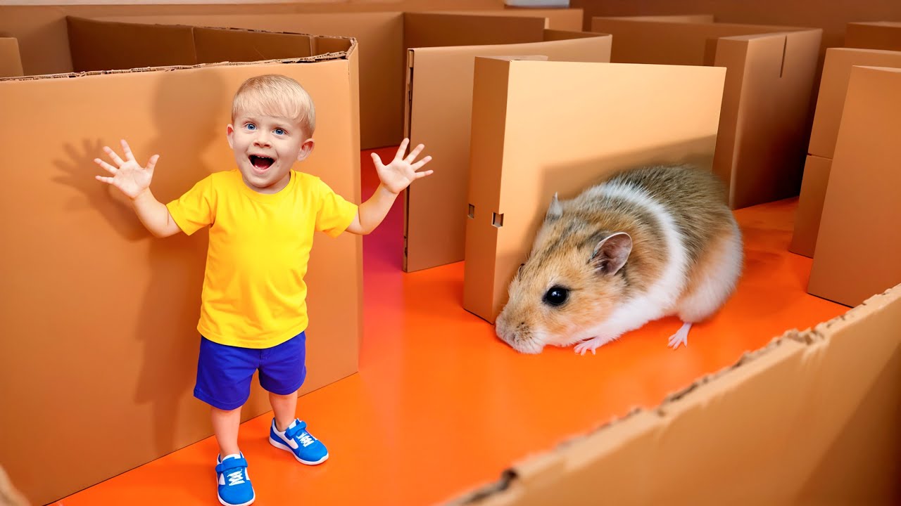 Thử Thách Thoát Khỏi Mê Cung Hamster! Bộ Sưu Tập Cuộc Phiêu Lưu Của Trẻ Em 🐹🌀