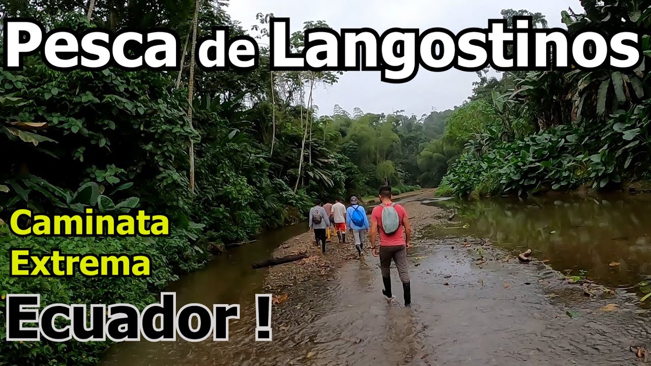 Pesca de langostinos de rio y caminata extrema en Ecuador.