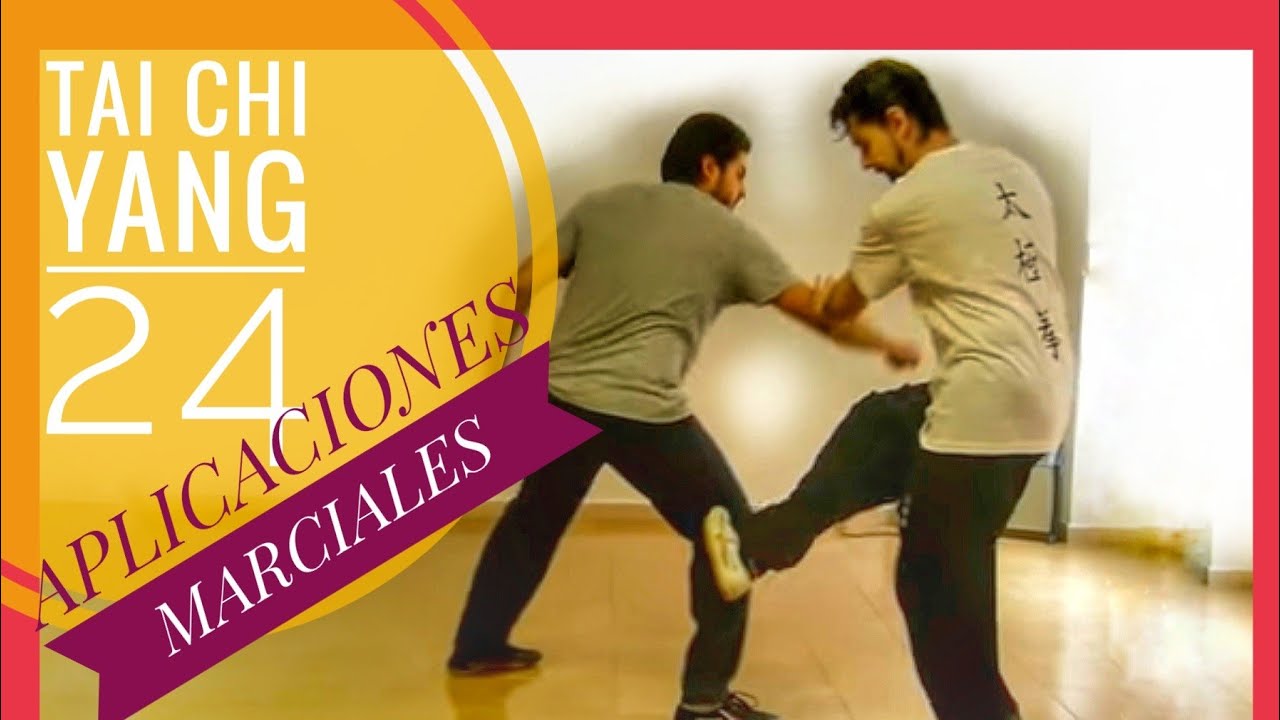 TAI CHI 24 YANG, ¡¡APLICACIONES MARCIALES!!👊☯️👊