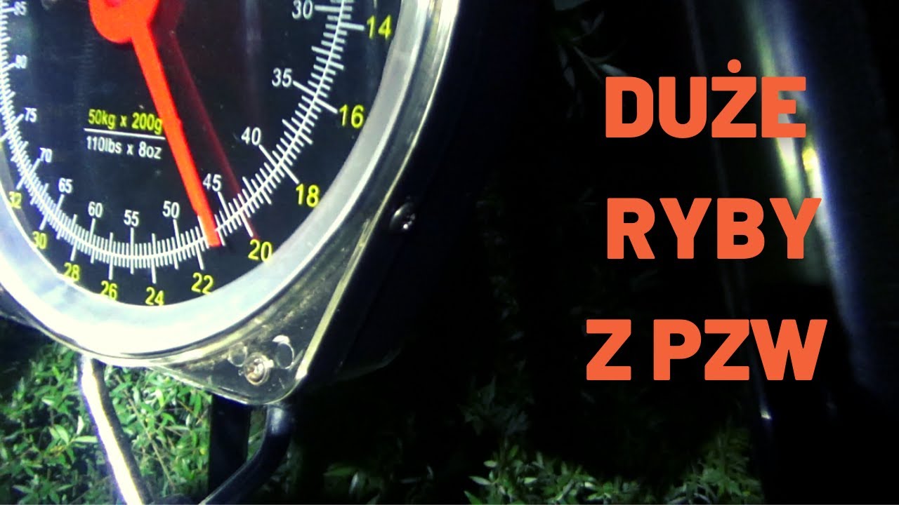Jak złowiłem rybę życia z wody PZW Katowice | 4 dni na rybach