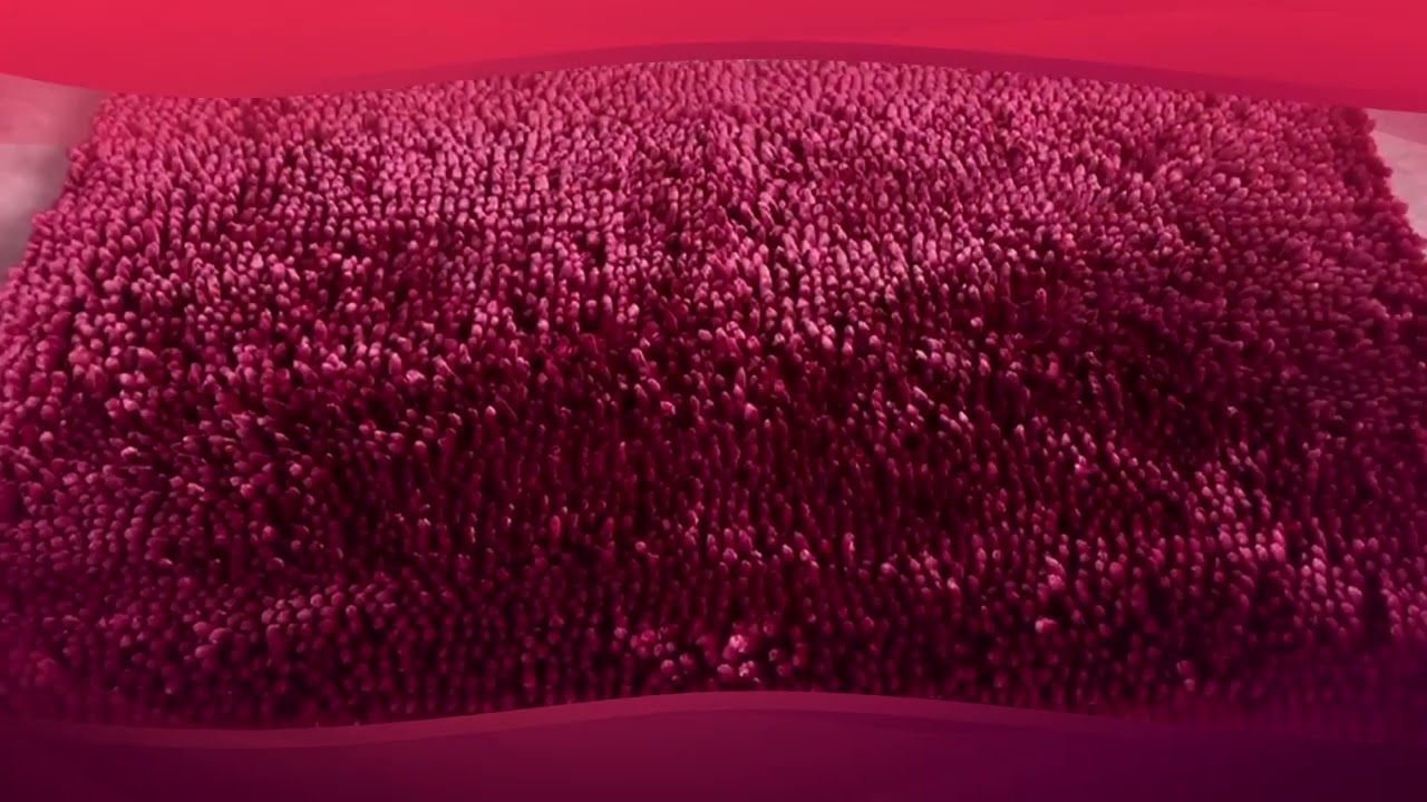 Professional chenille mat non slip manufacturers