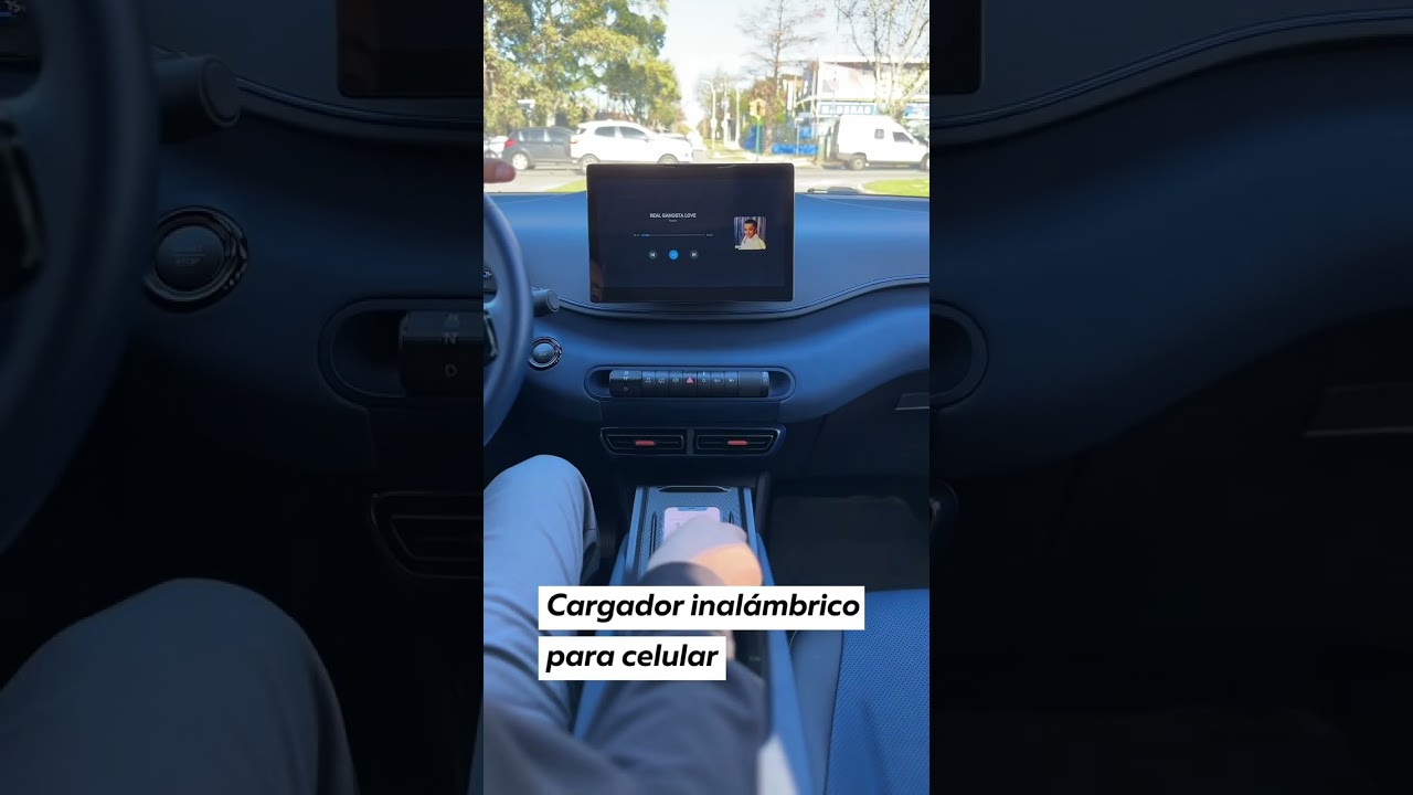 Conoc&eacute; algunas caracter&iacute;sticas del BYD SEAGULL