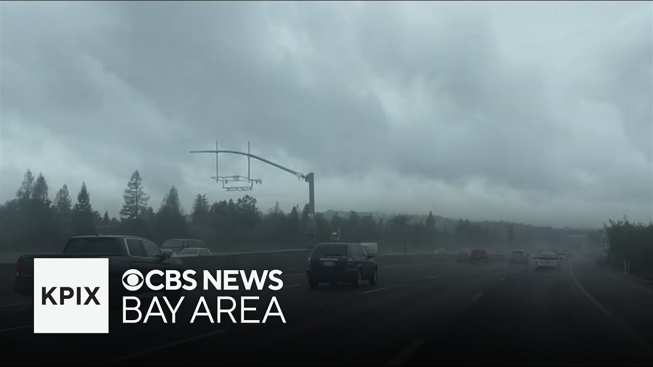 East Bay residents enjoy a rainy Presidents Day holiday