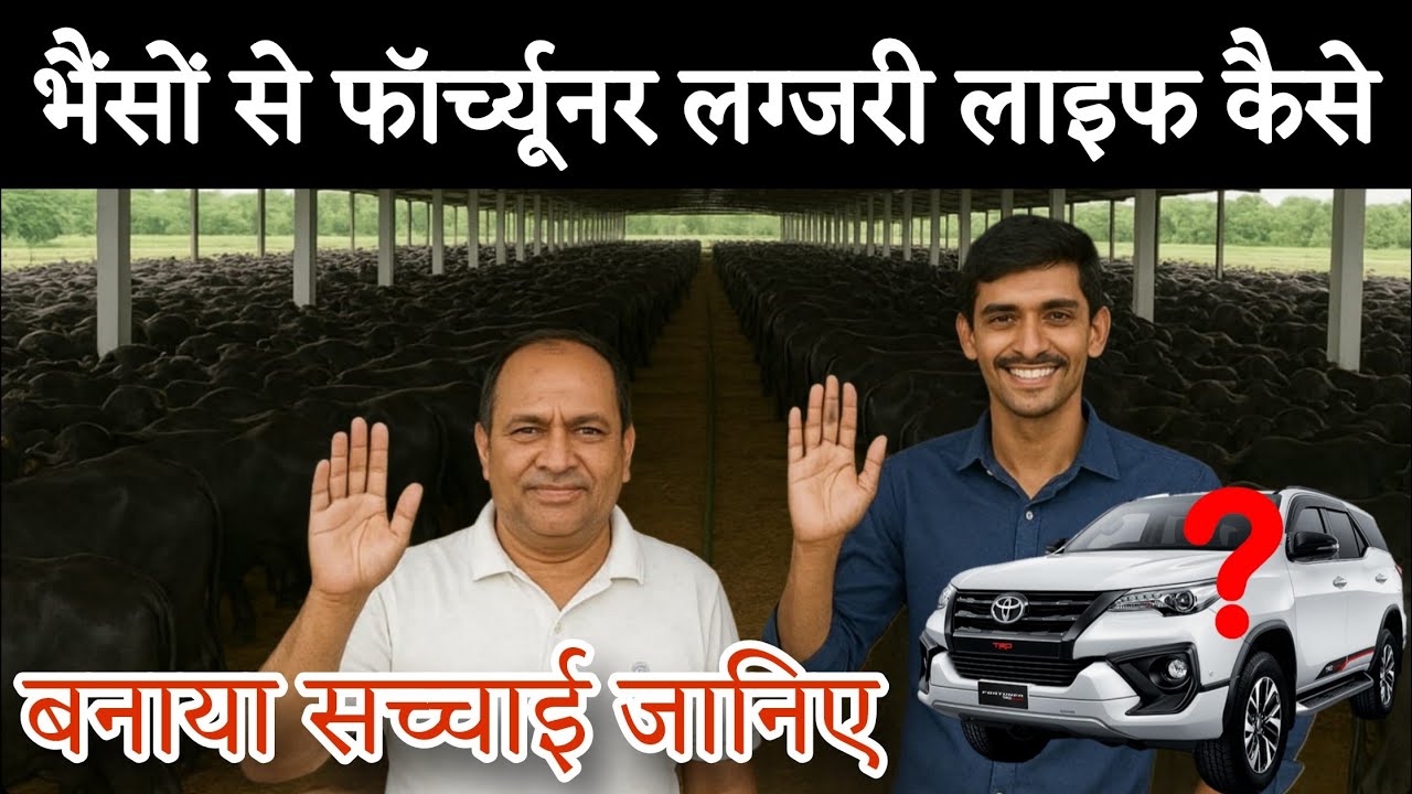 400 भैंसें 🐃 | 60 लाख महीना 💰 | चलता हूं 😎 | फॉर्च्यूनर से 🚙 Gujarat largest and modern buffalo farm