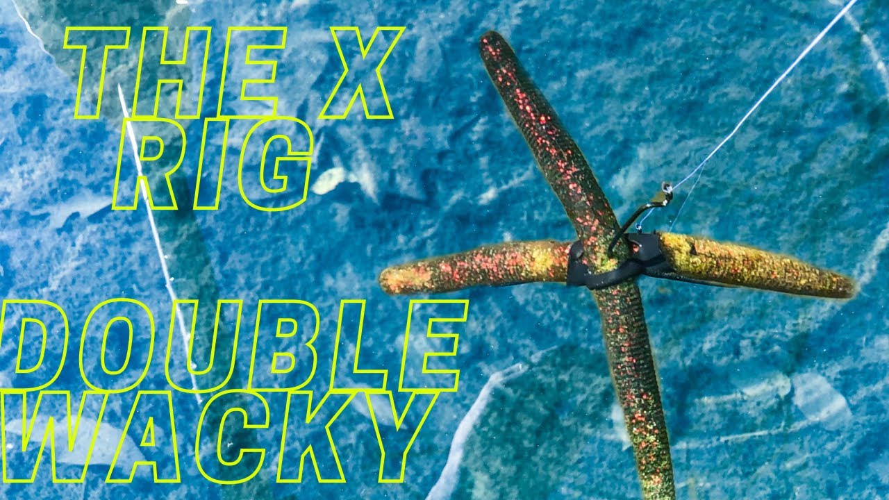 CRAZY WAVY Arm Double Wacky Senko Rig #Shorts