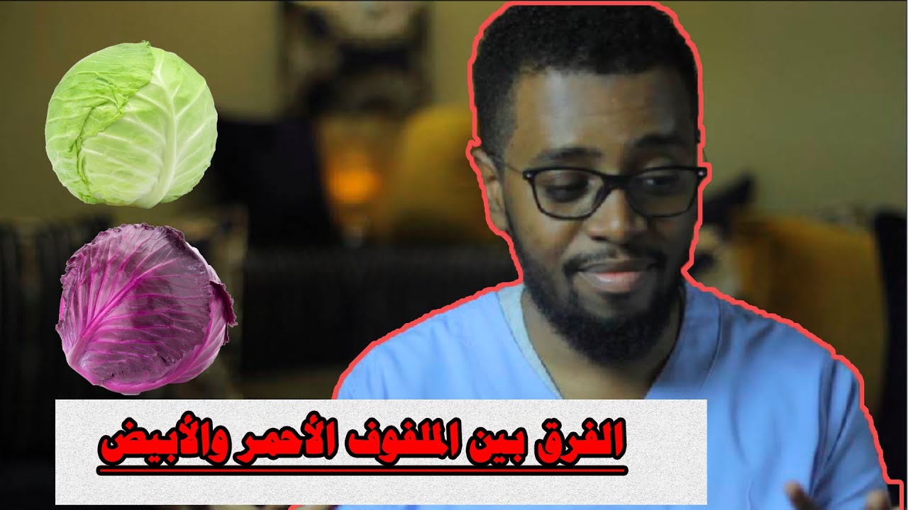 فوائد الملفوف الأحمر والملفوف الأبيض في الحديد وفيتامين c وتعديل الهرمونات وقرح الجهاز الهضمي