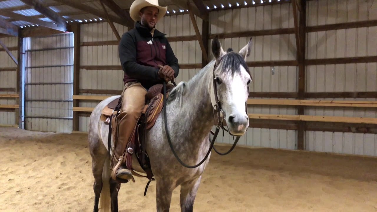Riding a Spooky Horse