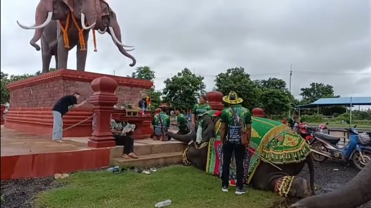ดาวเป่าแคนถวายพระภิฆเนศ