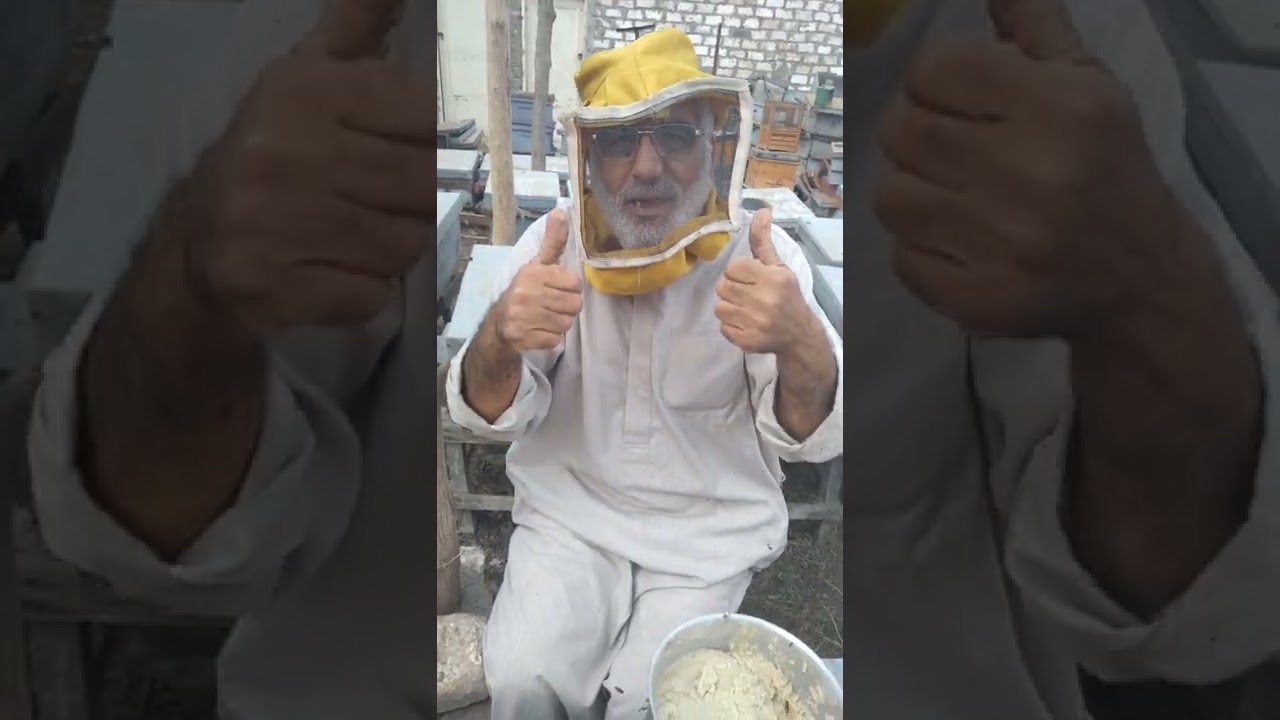 كيف نحافظ على نحل قوي بأقل تكلفة على غرار الربيع 🌼 الصناعي ٠