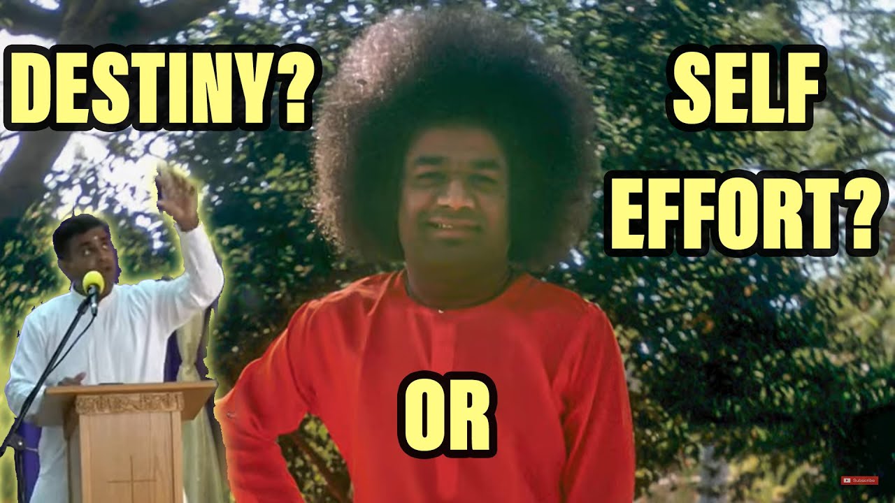 Can We Escape Fate? | Self-Effort vs Destiny | Sathya Sai Insights