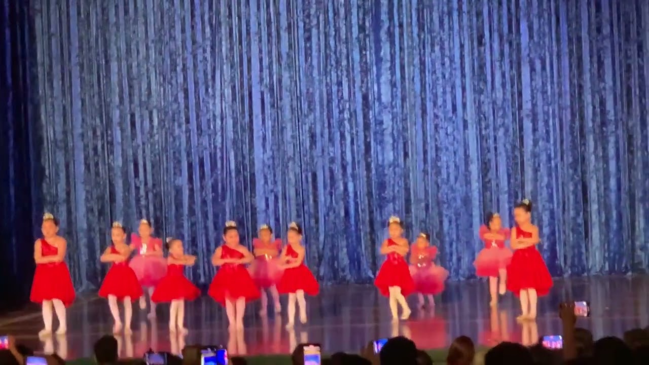 Nutcracker- Loisa