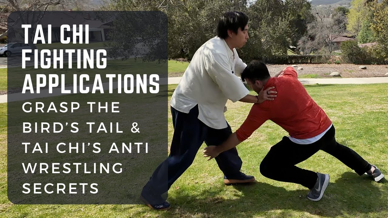 Tai Chi Fighting Application: Grasp the Bird's Tail's Unexpected Counter Wrestling Formula