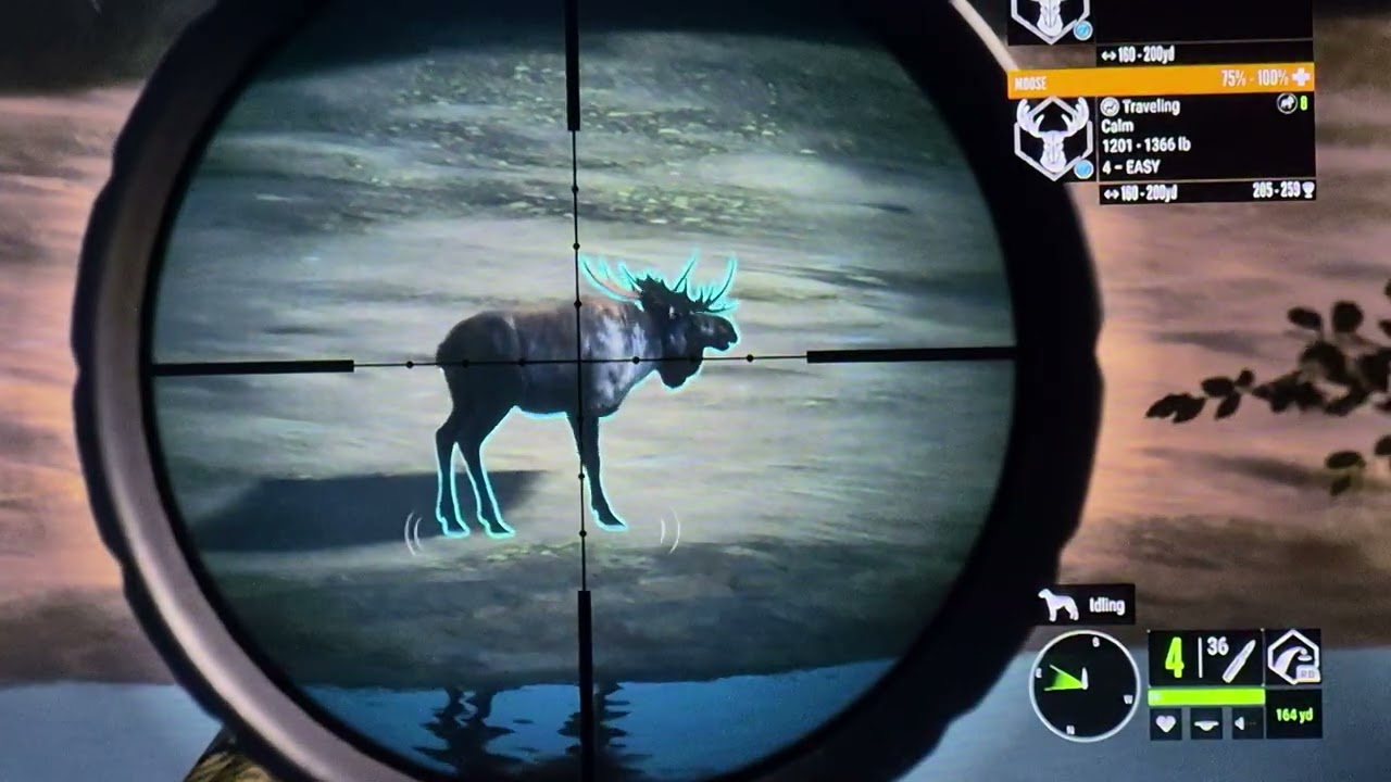 Mocha moose te awora mission 