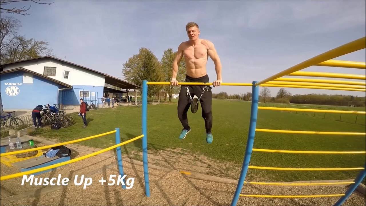 Best of Calisthenics and Weight Training Workouts 2016 (MOTIVATION)