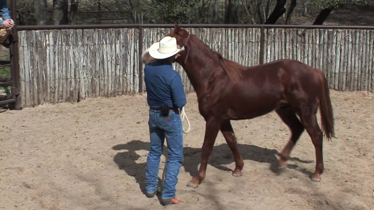 Ride Smart with guest Ty Murray Part 1