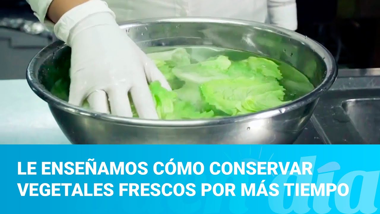Le ense&ntilde;amos c&oacute;mo conservar vegetales frescos por m&aacute;s tiempo