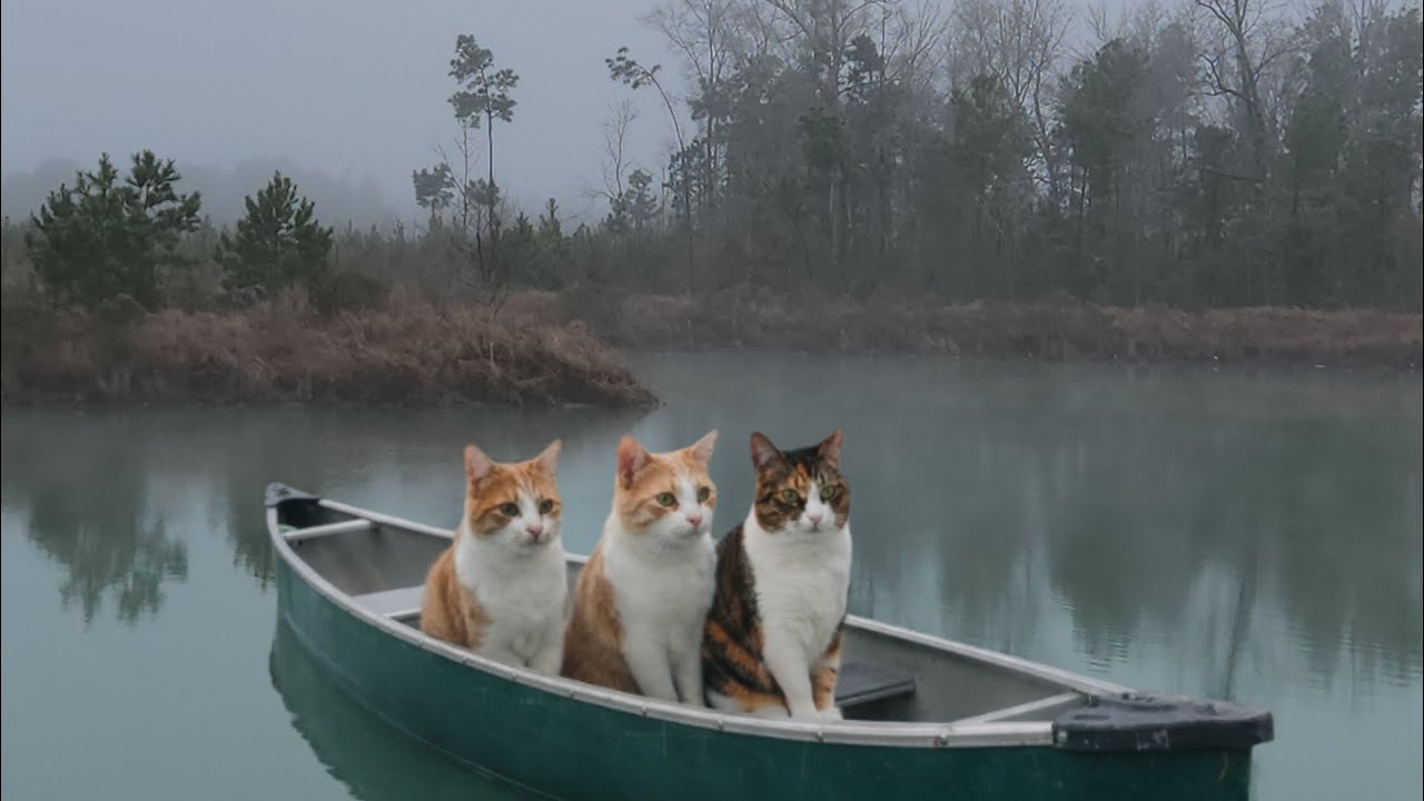 Troublemakers 