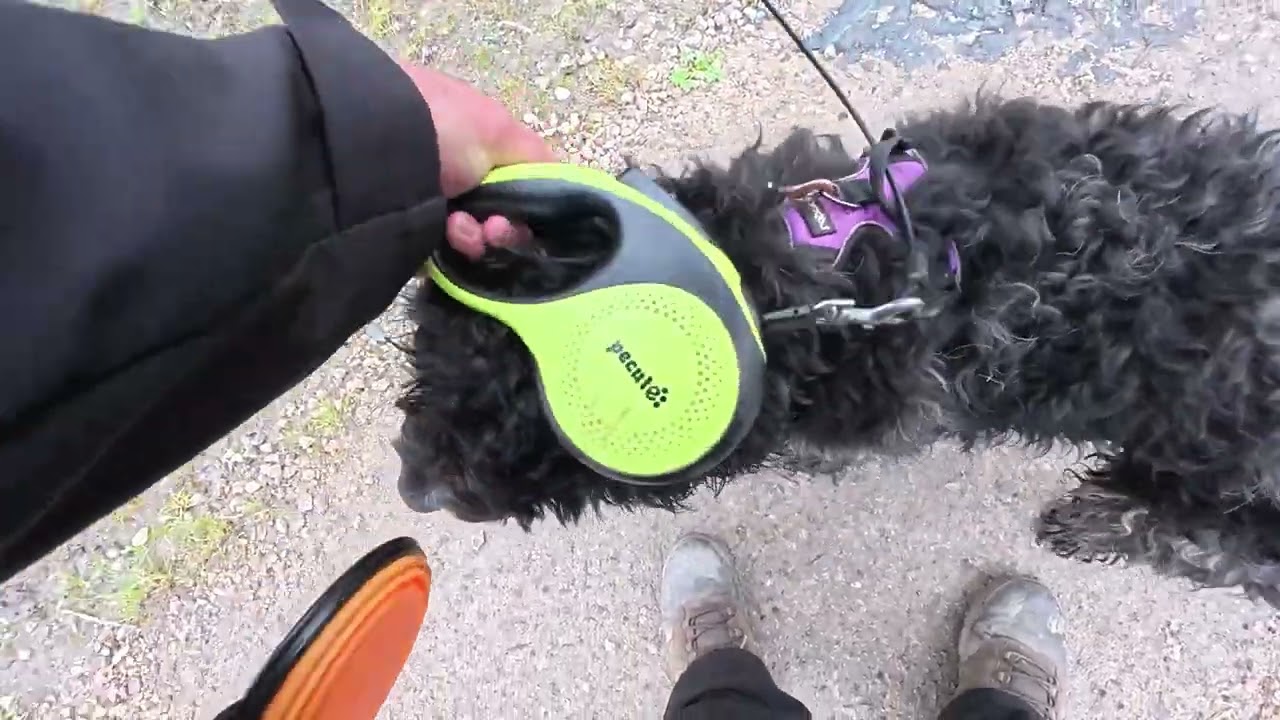 Walkies 12 3 26