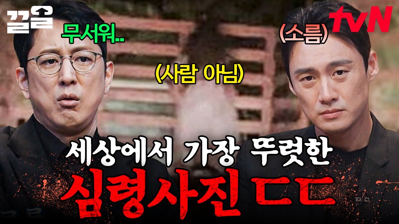 이게 진짜 사람이 아니었어?! 선명하게 형체가 남아 있는 심령사진ㄷㄷ | 프리한19