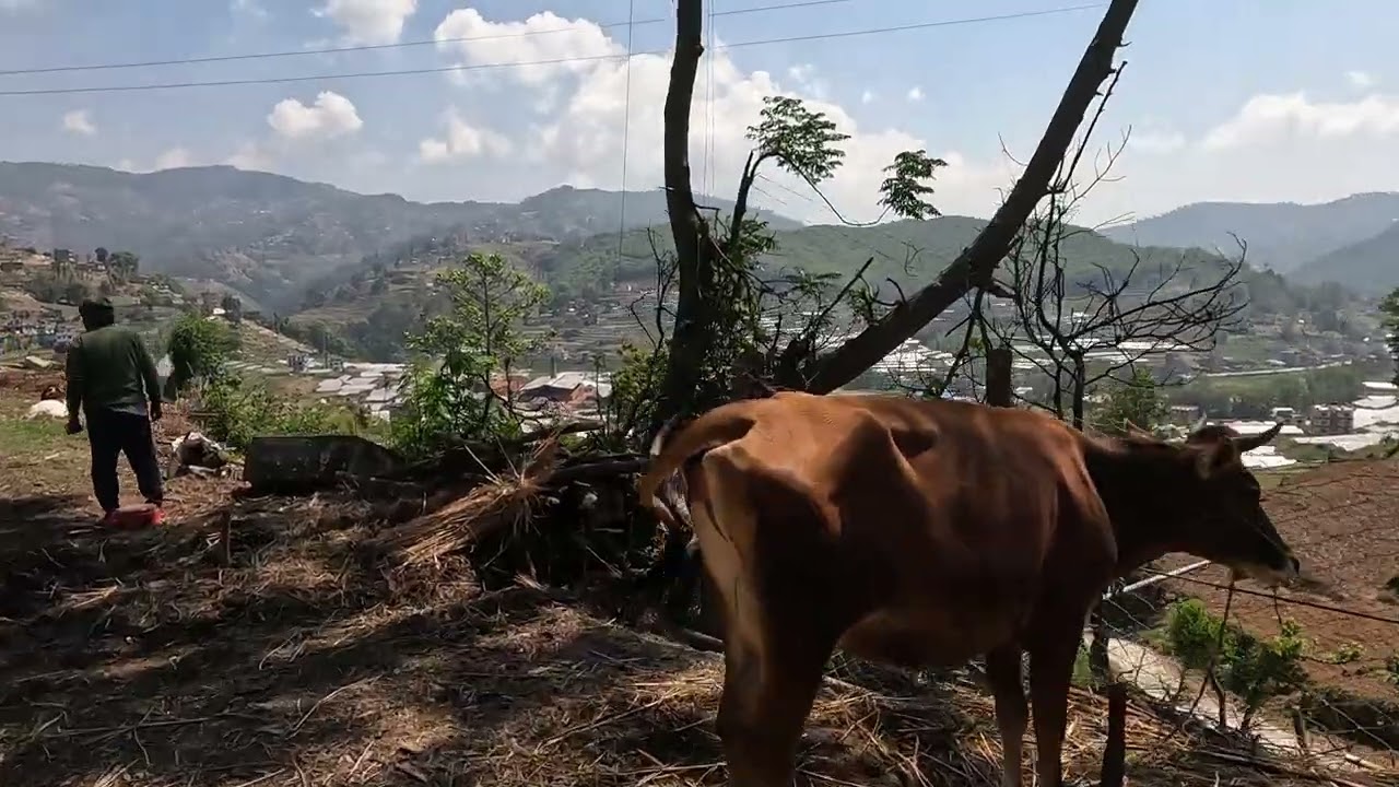 Banepa Gadhi Hike