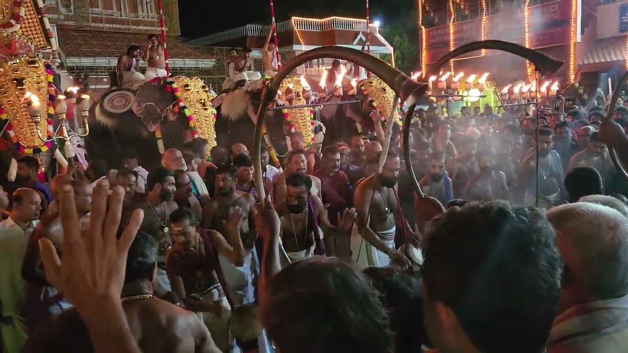 തൃശ്ശൂർ പൂരം പാറമേക്കാവ് വിഭാഗം രാത്രി പഞ്ചവാദ്യം - പതികാലം തിമില തീർ - ചോറ്റാനിക്കര നന്ദപ്പൻ മാരാർ