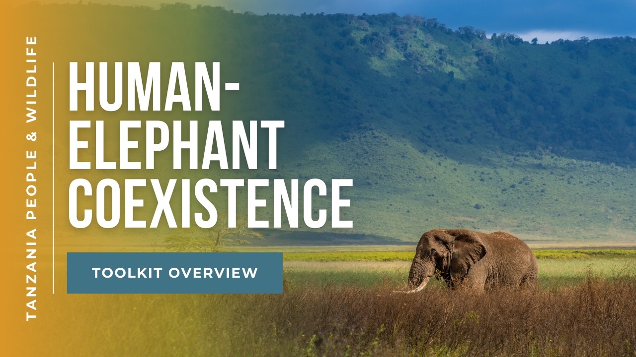 [Kiswahili] Human-Elephant Coexistence Toolkits in Tanzania