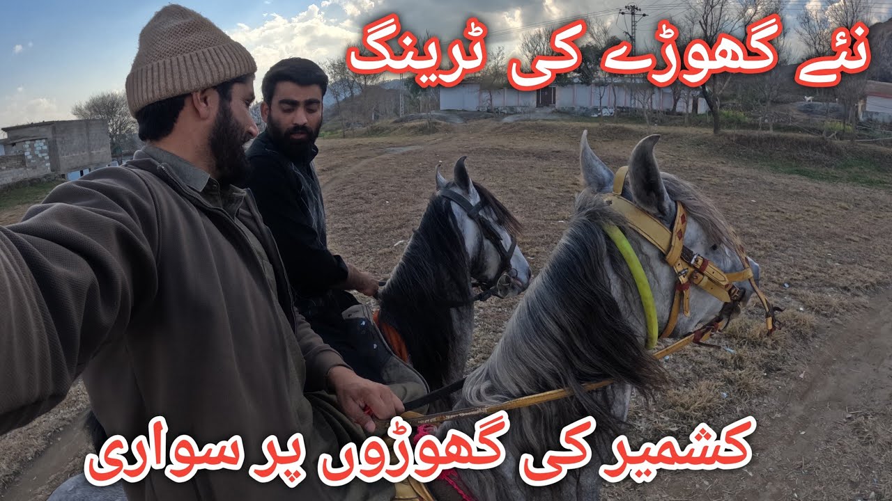 Training of our new horse || We explore the beauty of kashmir on horses #villagelife 