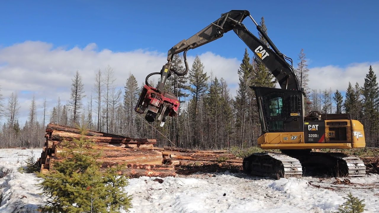 Caterpillar 320D Series 2 - Waratah 622C Processing Burn Salavage Wood