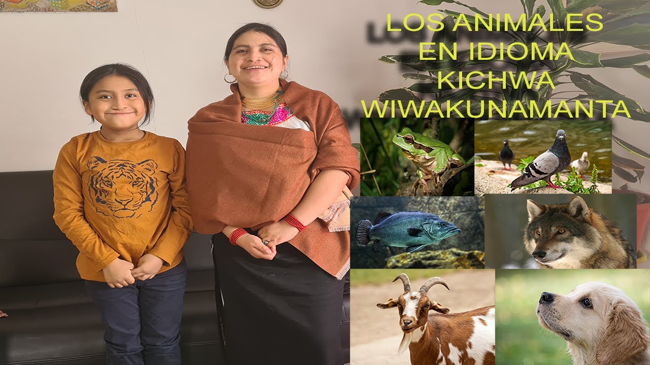FabiolaPerugachi# LOS ANIMALES EN IDIOMA KICHWA
