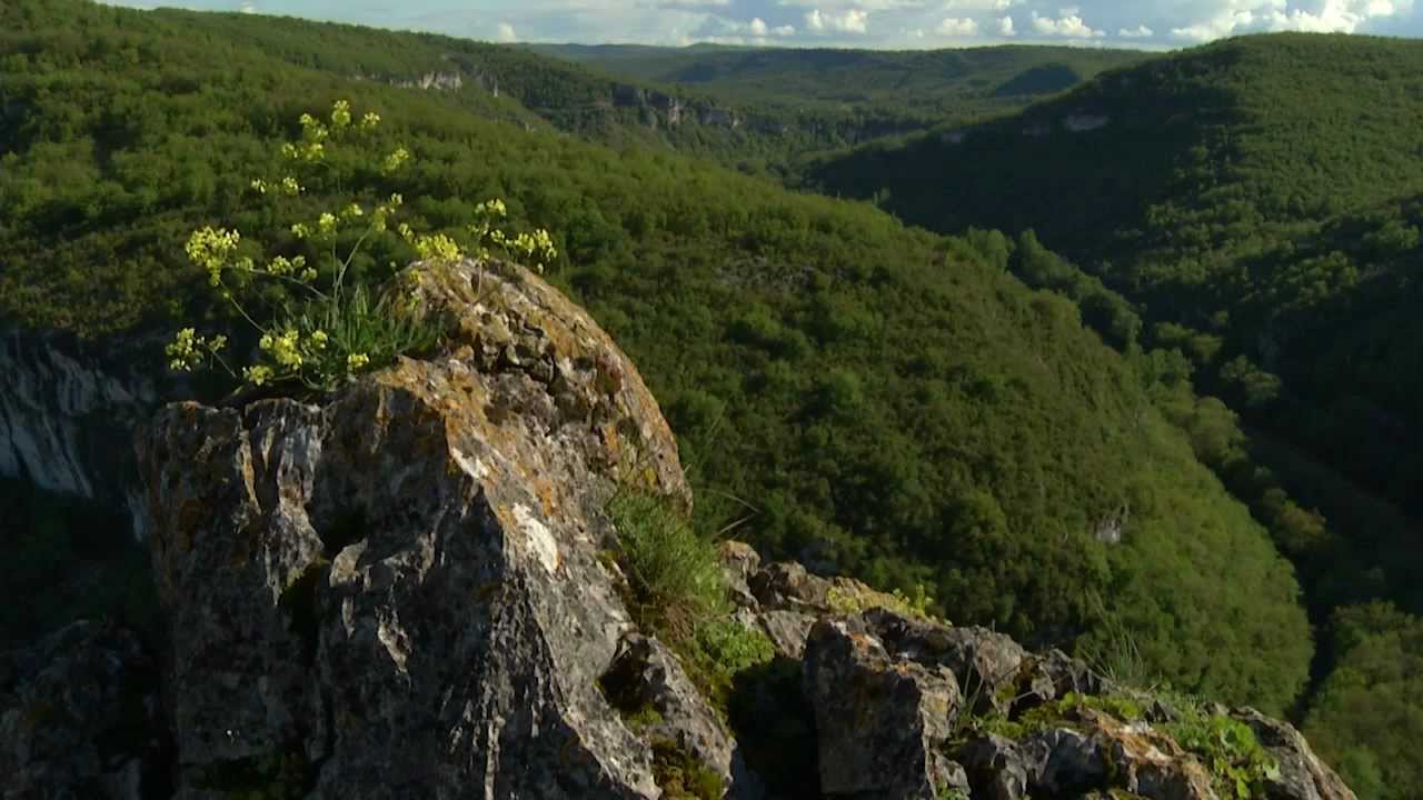 Le Tarn et Garonne au fil de vos envies