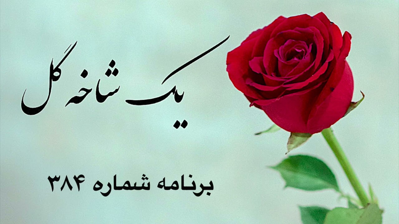 یک شاخه گل برنامه شماره ۳۸۴|Sazo Avaz