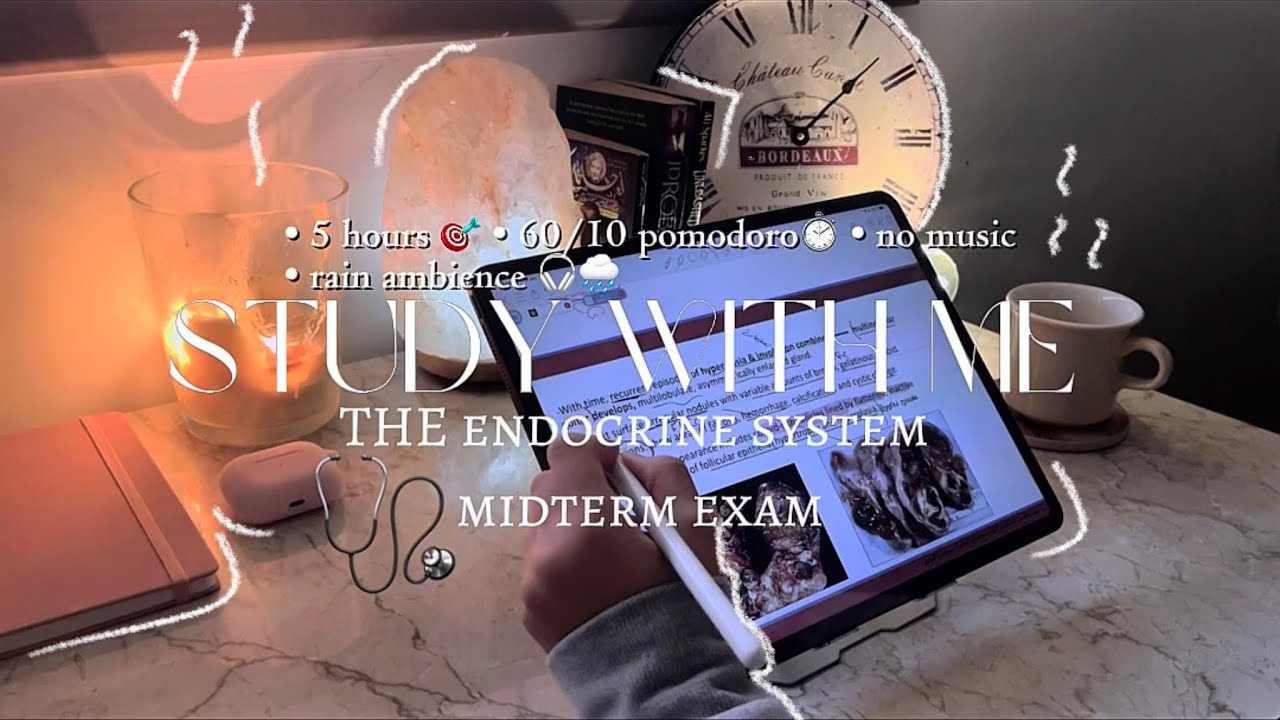 5-HOURS study with me 🩺 | 60/10 pomodoro - rain ambience 🎧🌧️ - no music 