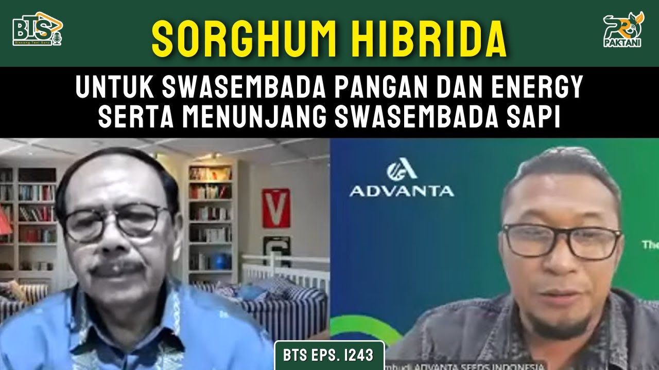 BTS Eps. 1243 - Sorghum Hibrida untuk Swasembada Pangan dan Energy serta Menunjang Swasembada Sapi