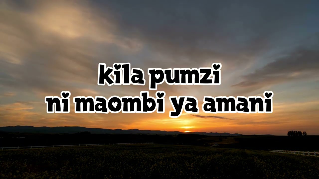 AMANI WAPI? by BIKADZO MLELUYA (lyrics video)