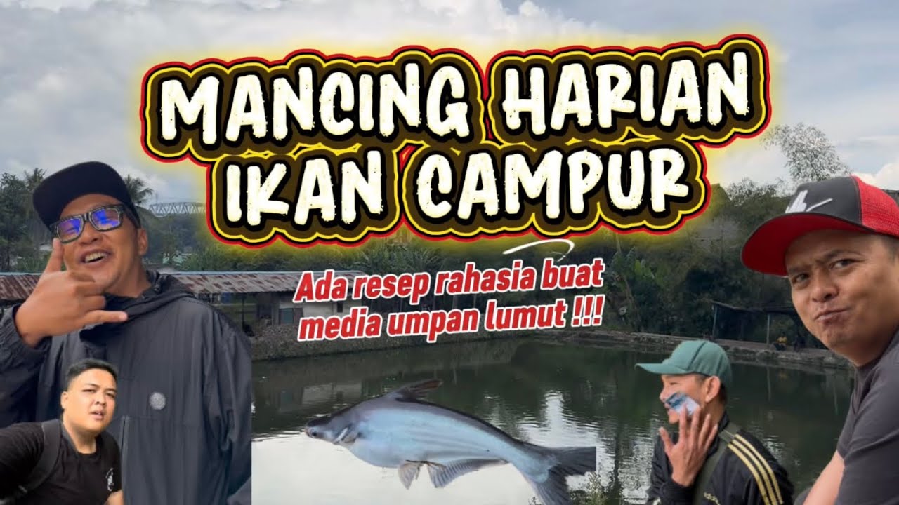 MANCING DI KOLAM HARIAN || RESEP UMPAN LUMUT DAN PELET‼️