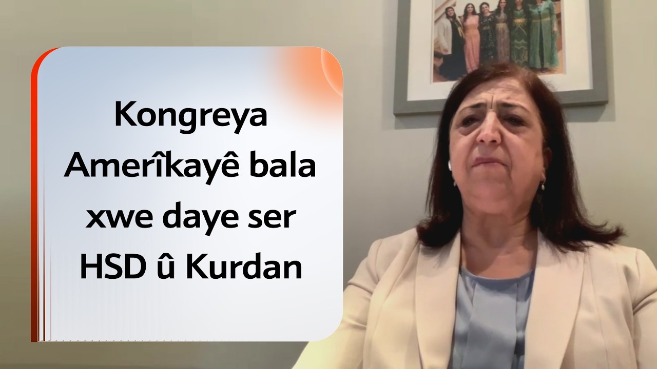 Sînem Mihemed: Kongreya Amerîkayê bala xwe daye ser HSD û Kurdan
