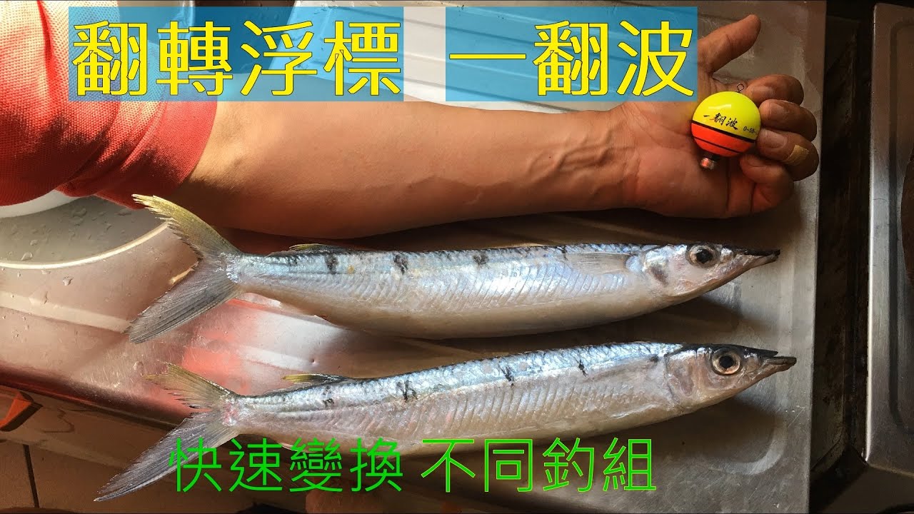 翻轉浮標一翻波 ,快速變換釣組 ,水針釣組 ,遠投阿波 ,爆釣烏尾冬 #澎湖磯釣 #浮標訊號