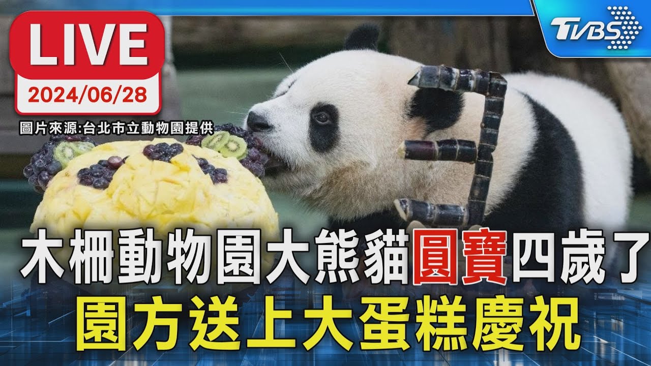 【原音呈現LIVE】台北木柵動物園大熊貓
